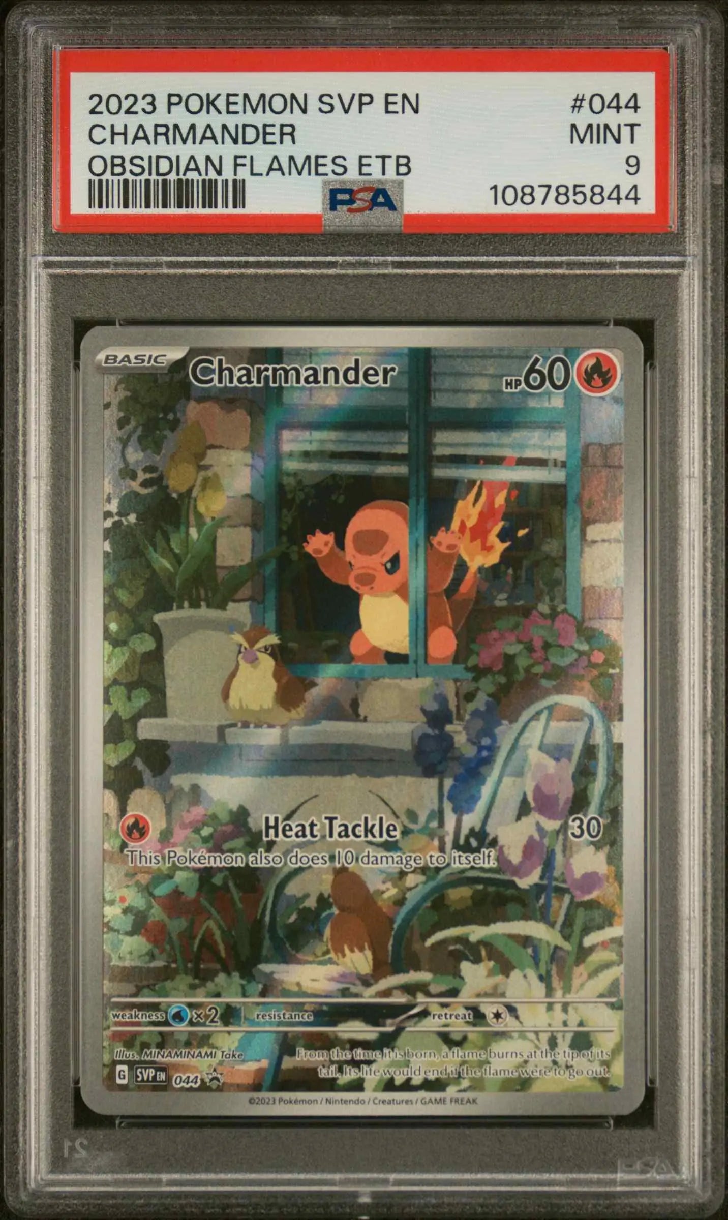 Charmander (SVP 044)