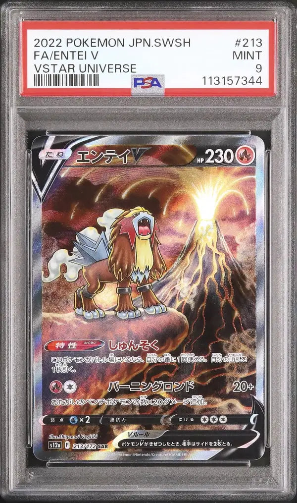 Entei V (s12a 213)