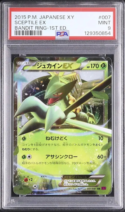 Sceptile EX (XY7 007)