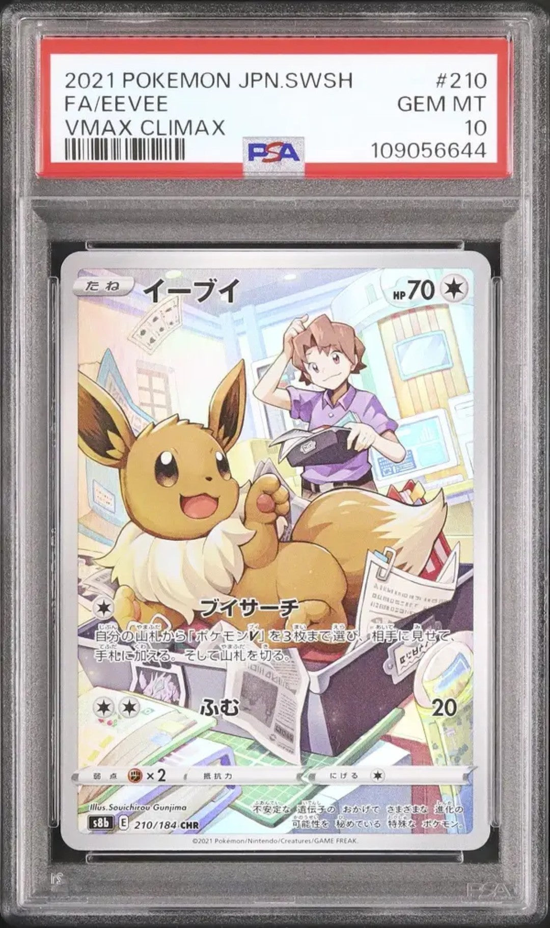 Eevee (s8b 210)