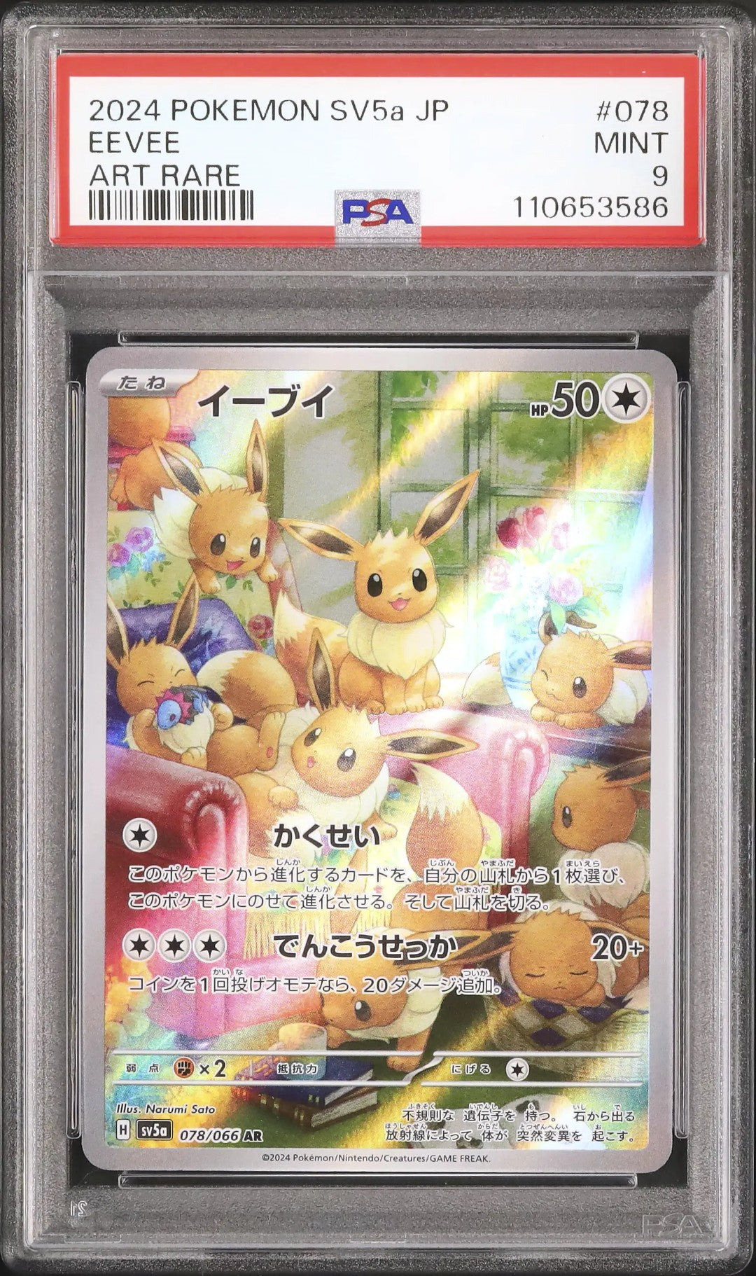Eevee (sv5a 078)