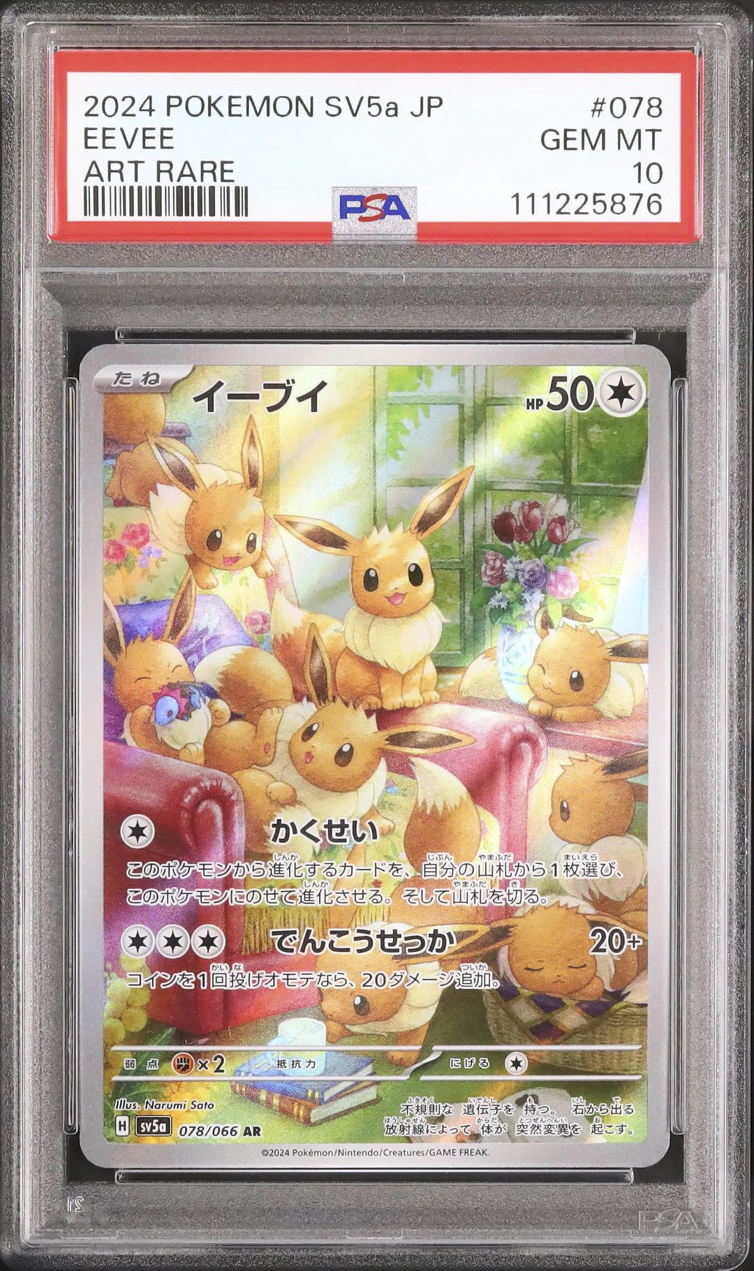 Eevee (sv5a 078)