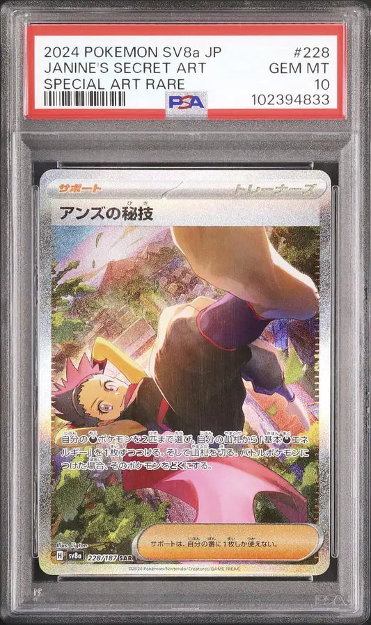 Janine's Secret Art (sv8a 228)