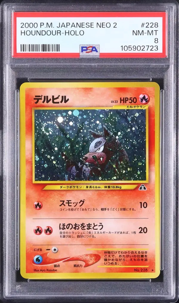 Houndour (N2 228)