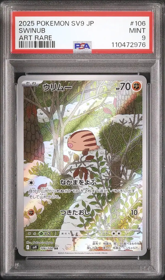 Swinub (sv9 106)