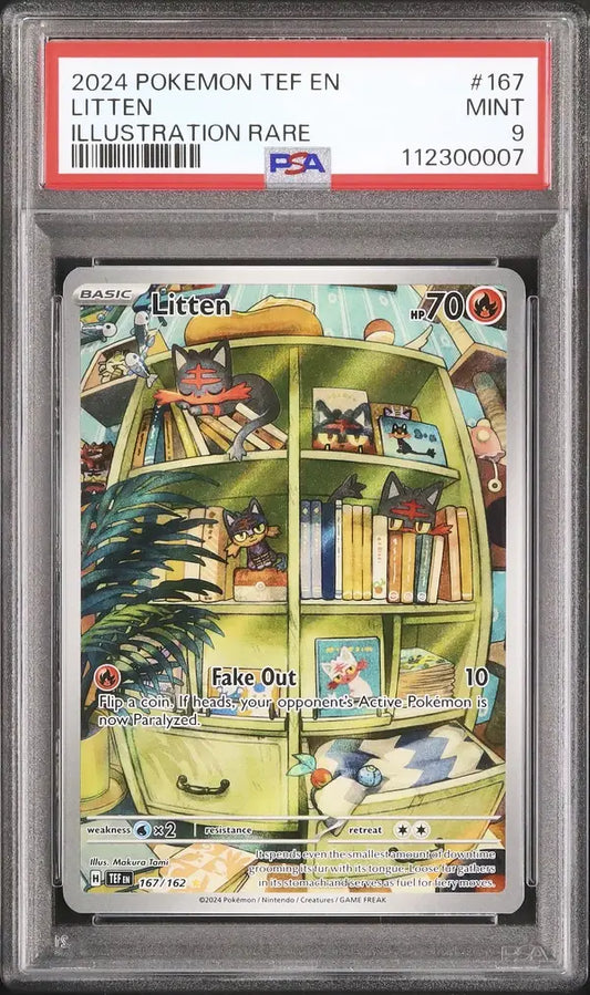 Litten (TEF 167)