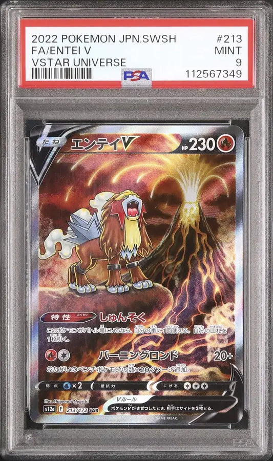 Entei V (s12a 213)