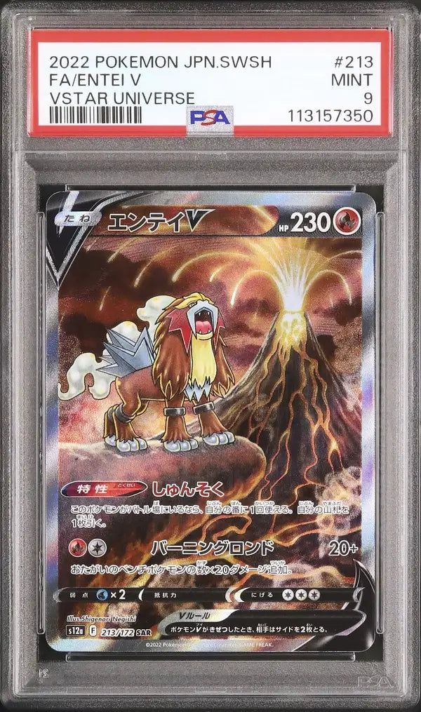 Entei V (s12a 213)