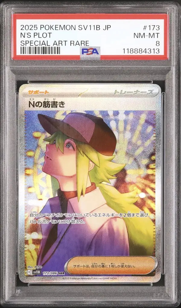 N's Plot (sv11B 173)