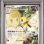Lillie's Ribombee (sv9 105)