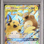 Raichu & Alolan Raichu GX (sm10a 008)