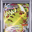 Pikachu VMAX (S-P 265)