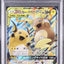 Raichu & Alolan Raichu GX (sm10a 008)