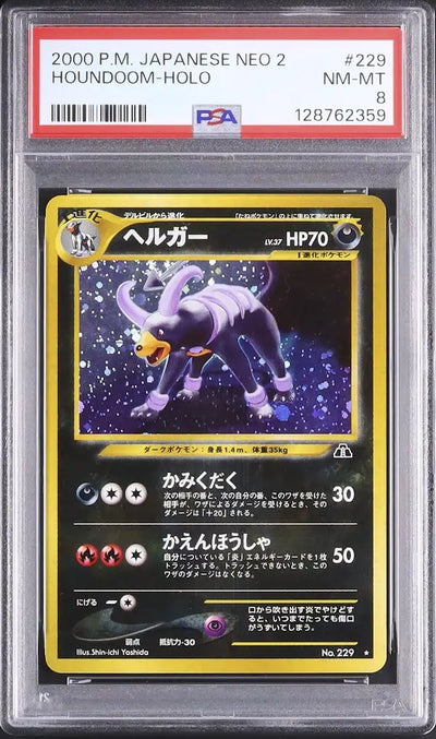 Houndoom (N2 229)