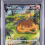 Charizard V (s12a 211)