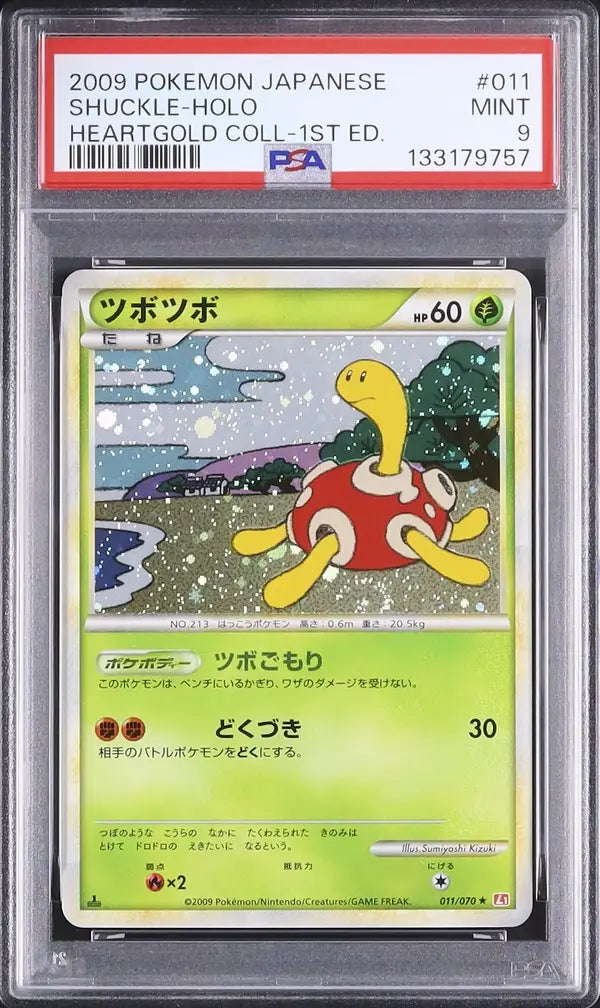 Shuckle (L1HG 011)