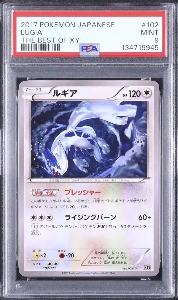 Lugia (BXY 102)