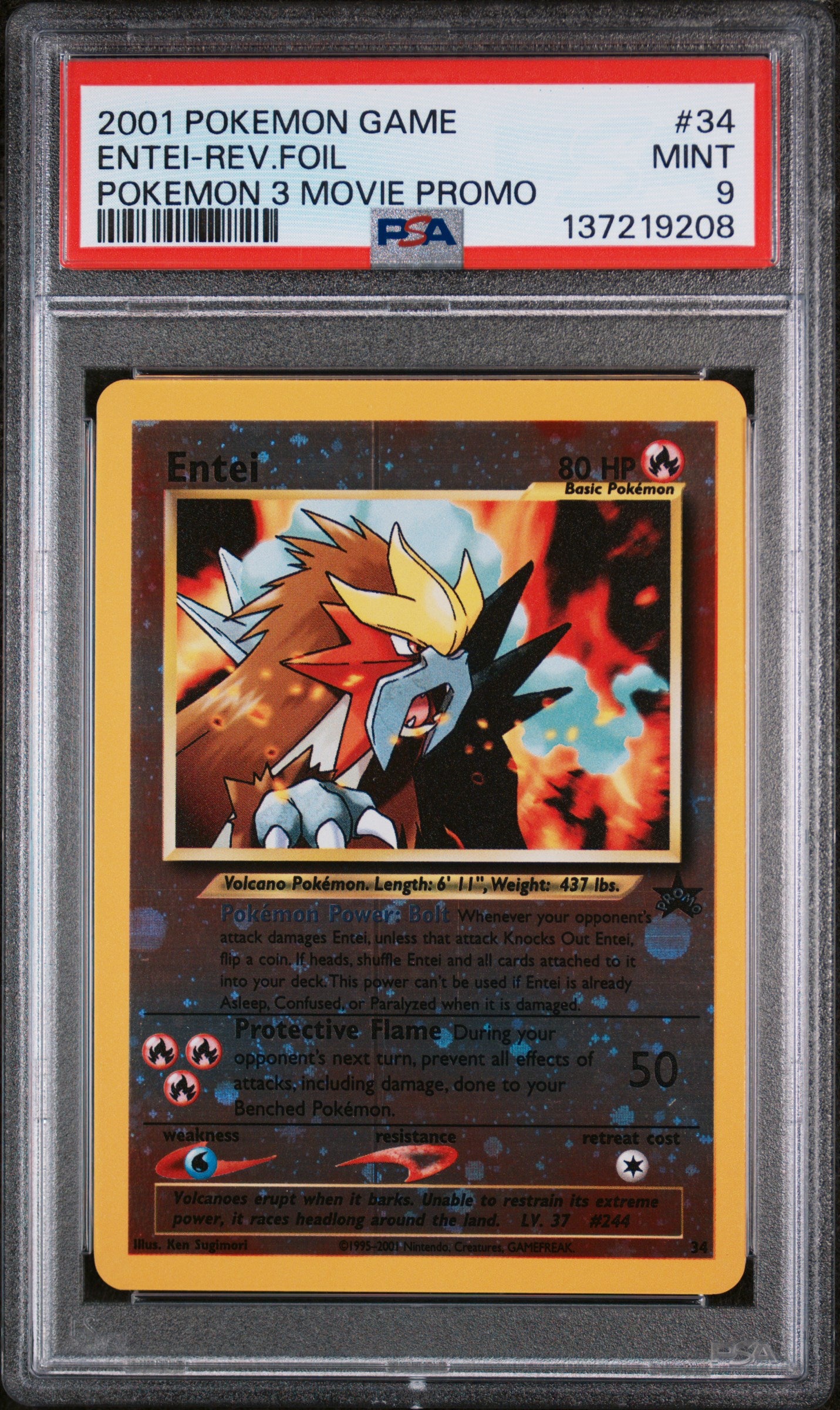 Entei (WP 34)