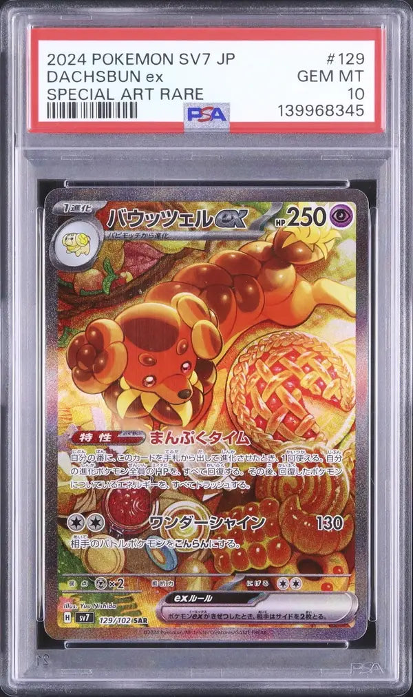 Dachsbun ex (sv7 129)