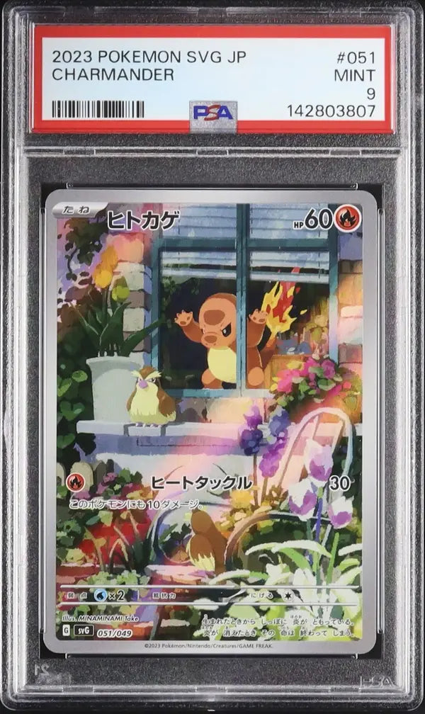 Charmander (svG 051)