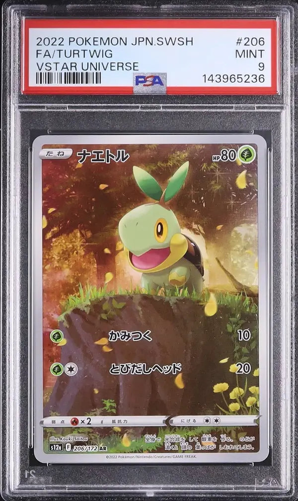 Turtwig (s12a 206)