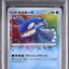 Kyogre (s4a 036)