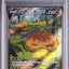 Charizard V (s12a 211)