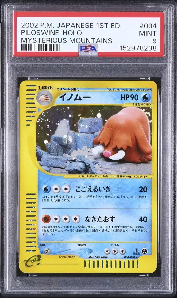 Piloswine (EC5 034)