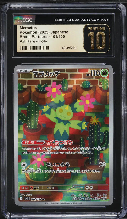 Maractus (sv9 101)