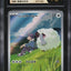 Hop's Wooloo (sv9 112)