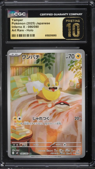 Yamper (m2 086)
