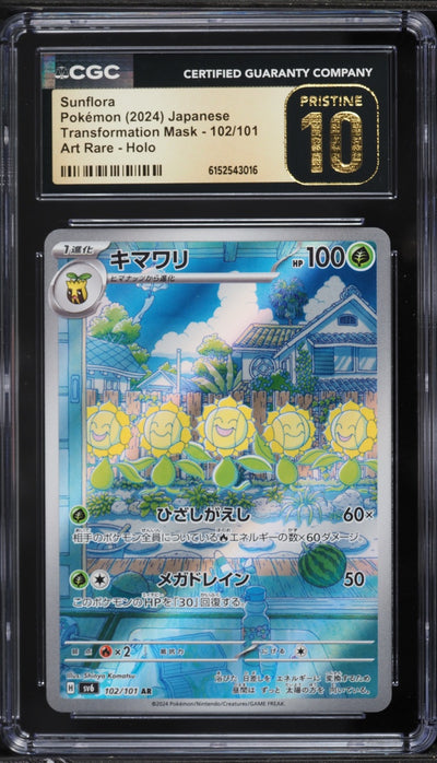 Sunflora (sv6 102)