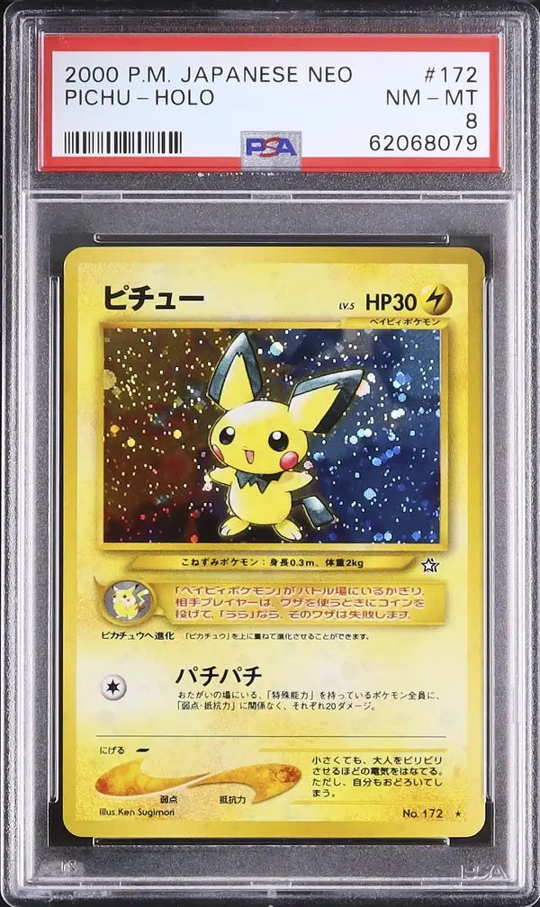 Pichu (N1 172)