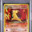 Dark Typhlosion (N4 157)