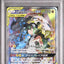 Reshiram & Zekrom GX (sm11b 064)